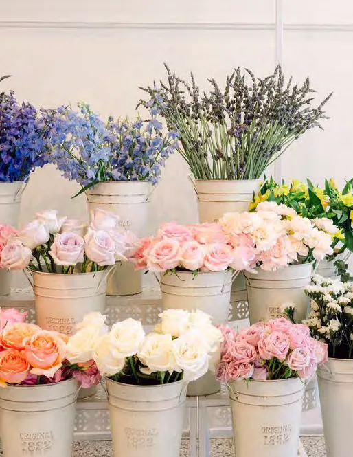 Bloom Bar