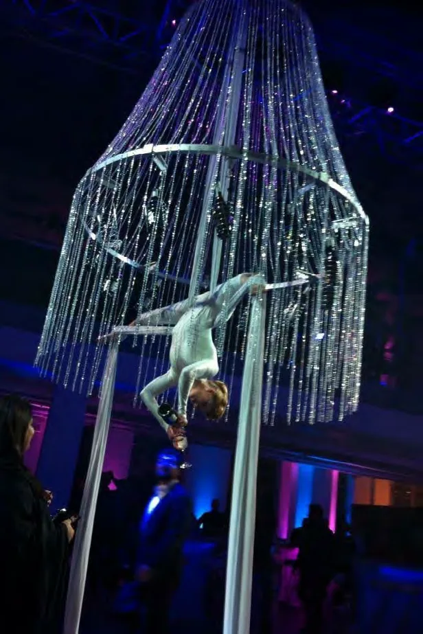 Bartender Aerialists