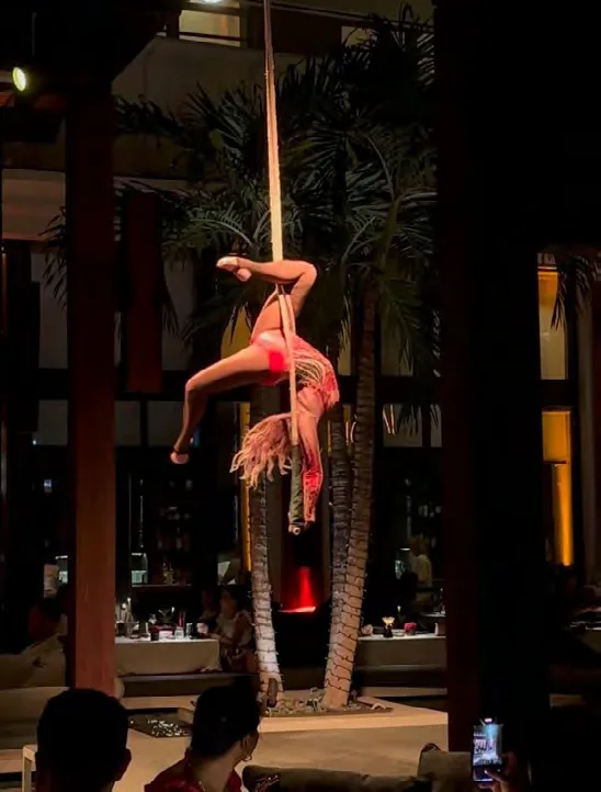 Trapeze Artists